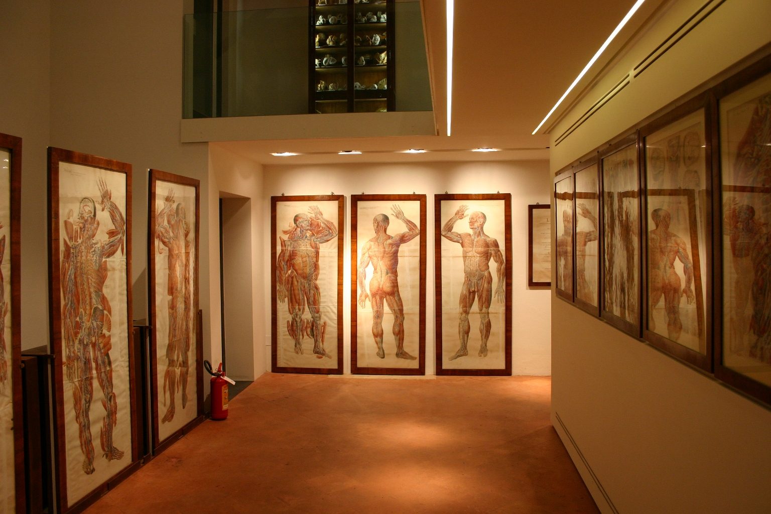 Sala 'Paolo Mascagni', Accademia dei Fisiocritici, Siena, Italy - 02.JPG